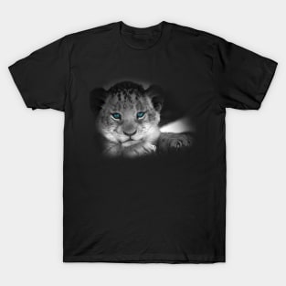 Baby Tiger with Blue Eyes T-Shirt